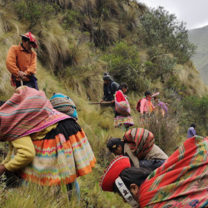 People in bright clothing working on the side of a mountain