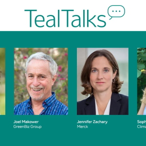 headshots of TealTalks speakers