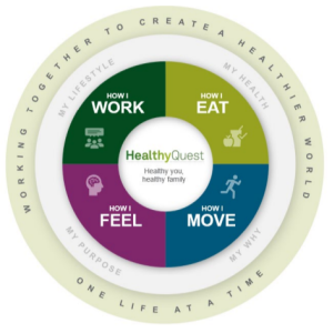 Info graphic pie-chart "HealthyQuest" central with four categories surrounding.
