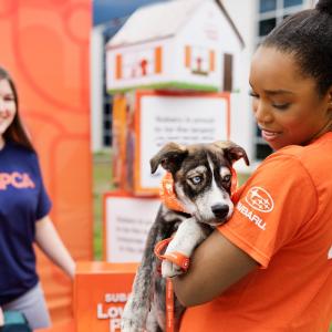 person holding a puppy