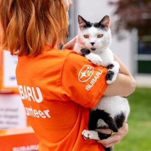 person holding a pet cat