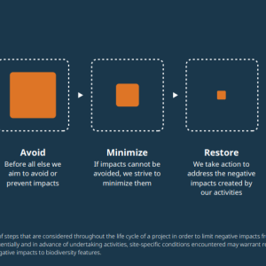 Info graphic. "Mitigation hierarchy" showing the progress from Potential Impacts to Offset. "The mitigation hierarchy is a series of steps that are considered throughout the life cycle of a project in order to limit negative impacts from our activities on biodiversity. While the steps are considered sequentially and in advance of undertaking activities, site-specific conditions encountered may warrant revisiting the mitigation hierarchy to further avoid and/or minimize negative impacts to biodiversity..."