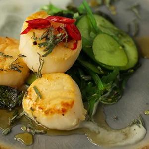 Plate of scallops, greens and honey comb