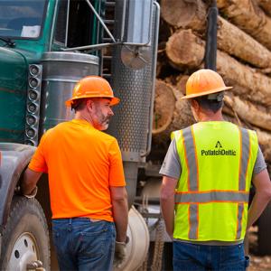 People in hard hats standing next to a truck loaded with logs
