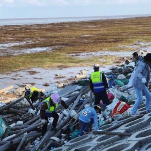 Volunteers in China clean up wetlands.