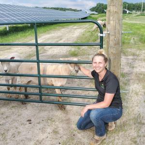 woman crouching by two sheep behind a gate
