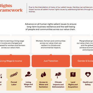 human rights impact framework infographic