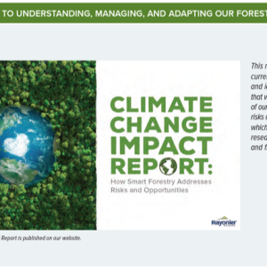 A globe with a white heart in a forested canopy. "Climate Change Impact Report" to the right. This report summarizes the current state of the climate and identifies key principles that will guide the development of our forestry practices as new risks and opportunities emerge, which will require continuous research, innovation, and flexibility.