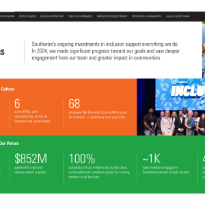 Snapshot of Southwire's 2024 Inclusion Report