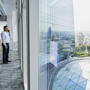 Someone in an office on a cellphone, looking out a window