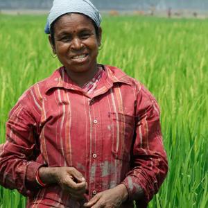 a person standing in a field in India