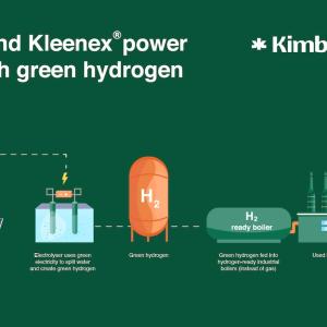 Andrex and Kleenex power ahead with green hydrogen infographic
