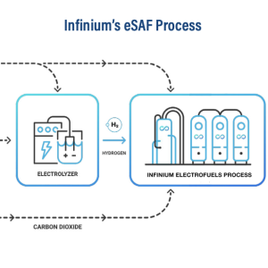Infinium's eSAF Process