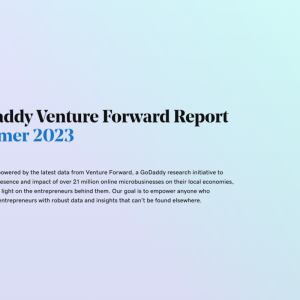 "GoDaddy Venture Forward Report Summer 2023"