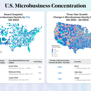 "U.S. Microbusiness Concentration"