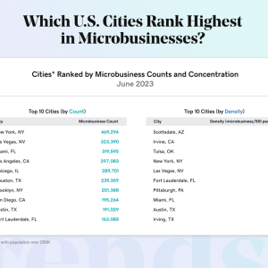 "Which U.S. Cities Rank Highest in Microbusinesses?"