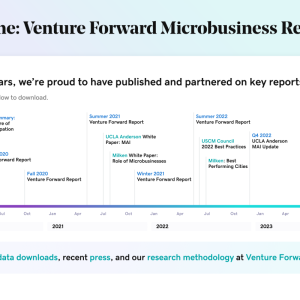 "Timeline: Venture Forward Microbusiness Reports"
