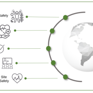 Focus areas listed: Health & Safety Policies, Workplace Health, Workplace safety,  Training & Awareness, and Customer Site Health & Safety. With an image of a globe.