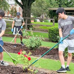 A group of volunteers working in a garden.