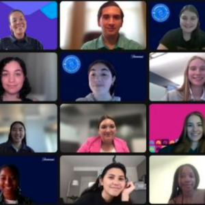 interns on a online meeting