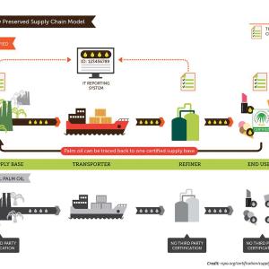 RSPO infographic