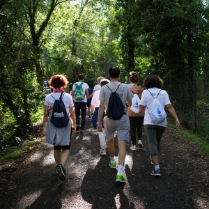 People walking in the woods