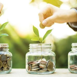 jars of coins with seedlings growing from them