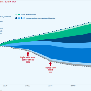 in depth graph of AMERICAN’S DIRECTIONAL PATHWAY TO NET ZERO IN 2050 