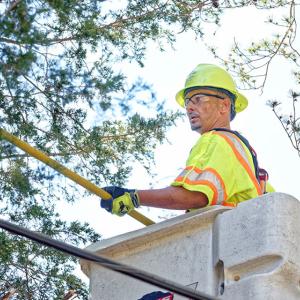 Joey Hunt trimming trees in a hard hat