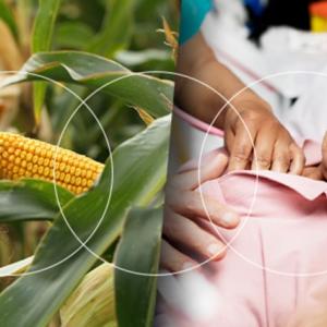 Collage of medical worker, crops and patient 