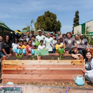 AEG’s LA Galaxy Foundation joined forces with Freeway Insurance and Garden School Foundation to replant and expand the gardens at Annalee Avenue Elementary School in Carson, CA.