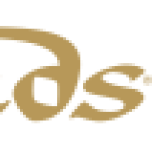 Las Vegas Sands logo