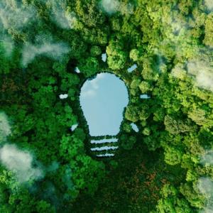 Aerial view of a forest and a lake in the shape of a lightbulb.