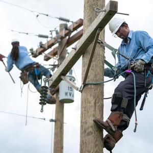 Lineworkers working on powerline