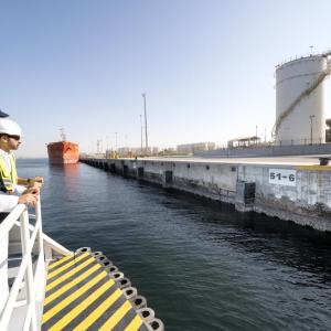 DP World employees observe Living Seawalls panels installed along a quay wall at Jebel Ali Port, where eco-engineered surfaces are transforming traditional port infrastructure into marine habitat.