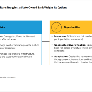 Info graphic comparison chart "As Local Agriculture Struggles, a State-Owned Bank Weighs Its Options" with points for "Risks" and "Opportunities".