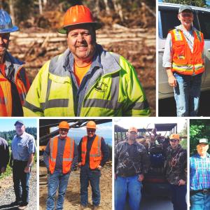 Collage of logging families.