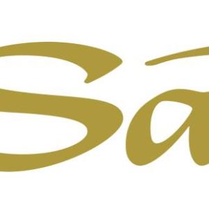 Sands logo