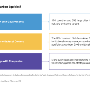 Why Global Low-Carbon Equities?