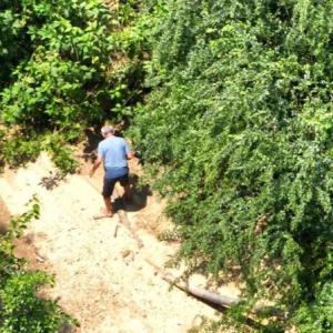 Aerial view of the missing man in a tree-dense area.