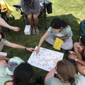 People seated on grass, playing a tile game on a board.