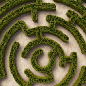 Aerial view of a hedge-maze.