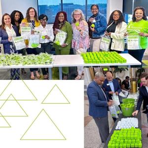 Collage of employees