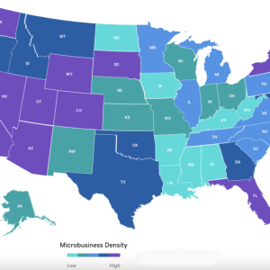 US Microbusiness Density Map