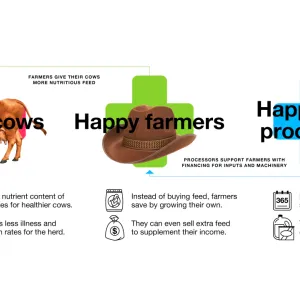 Info graphic Showing the connection from Happy Cows to Happy Farmers to Happy Dairy processors.