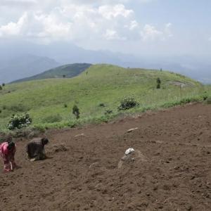 People working in a farm plot, mountains in the distance.