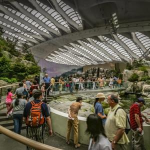 people visiting a display