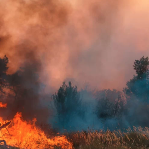 Investing in Extreme weather