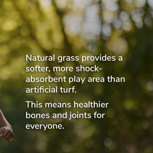 Natural grass provides a softer, more shock-absorbent play area than artificial turf. This means healthier bones and joints for everyone.
