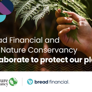 Bread Financial and The Nature Conservancy collaborate to protect our planet - with hand holding a pine branch